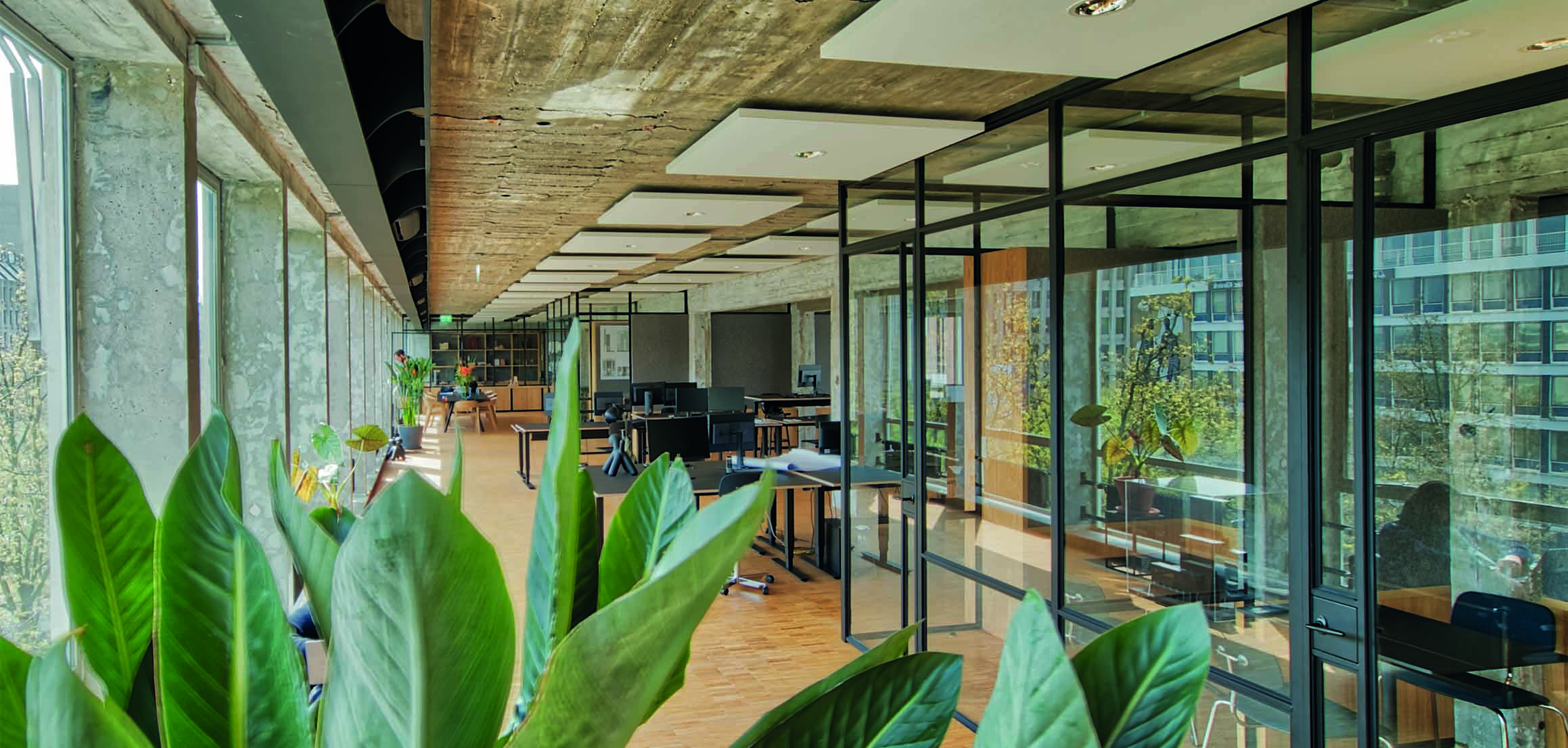 Kantoortuin met glazen scheidingswanden in architectenkantoor De Zwarte Hond in Rotterdam